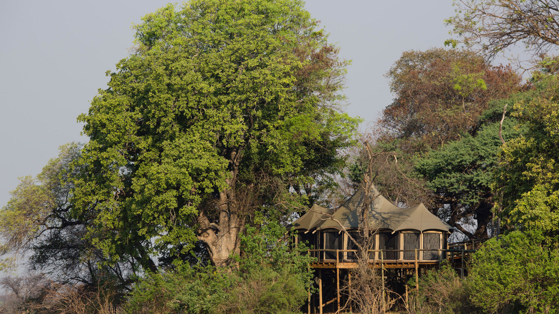 Nambwa Tented Lodge » Matoke