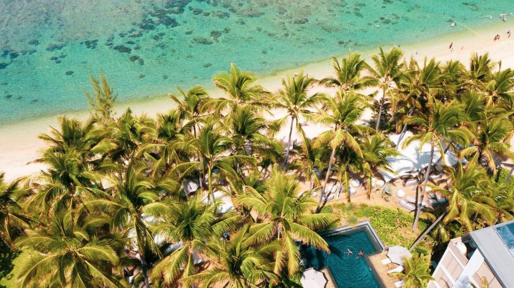 Ness by D-Ocean » Réunion » Matoke Tours