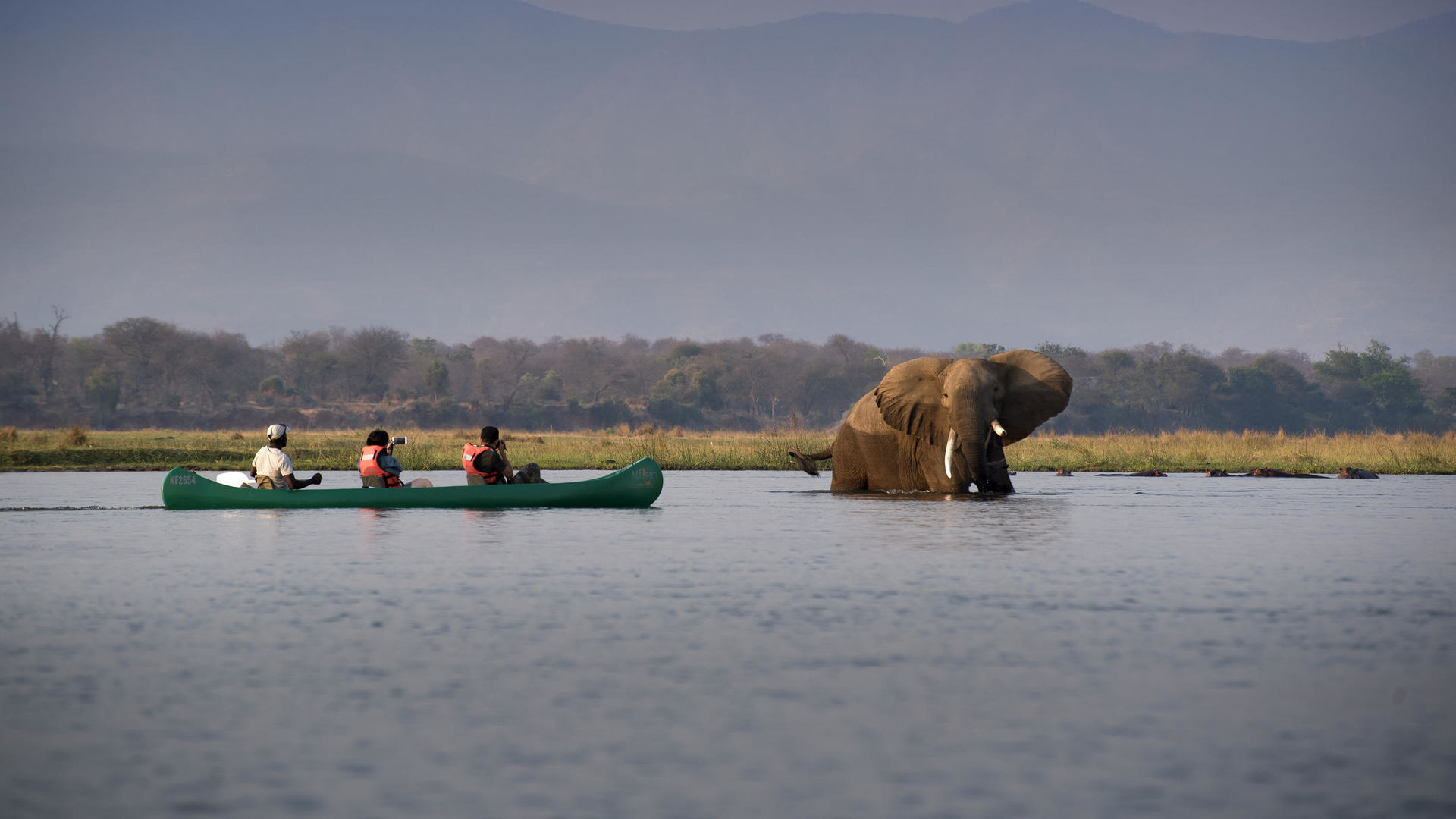 Nyamatusi Camp » Matoke