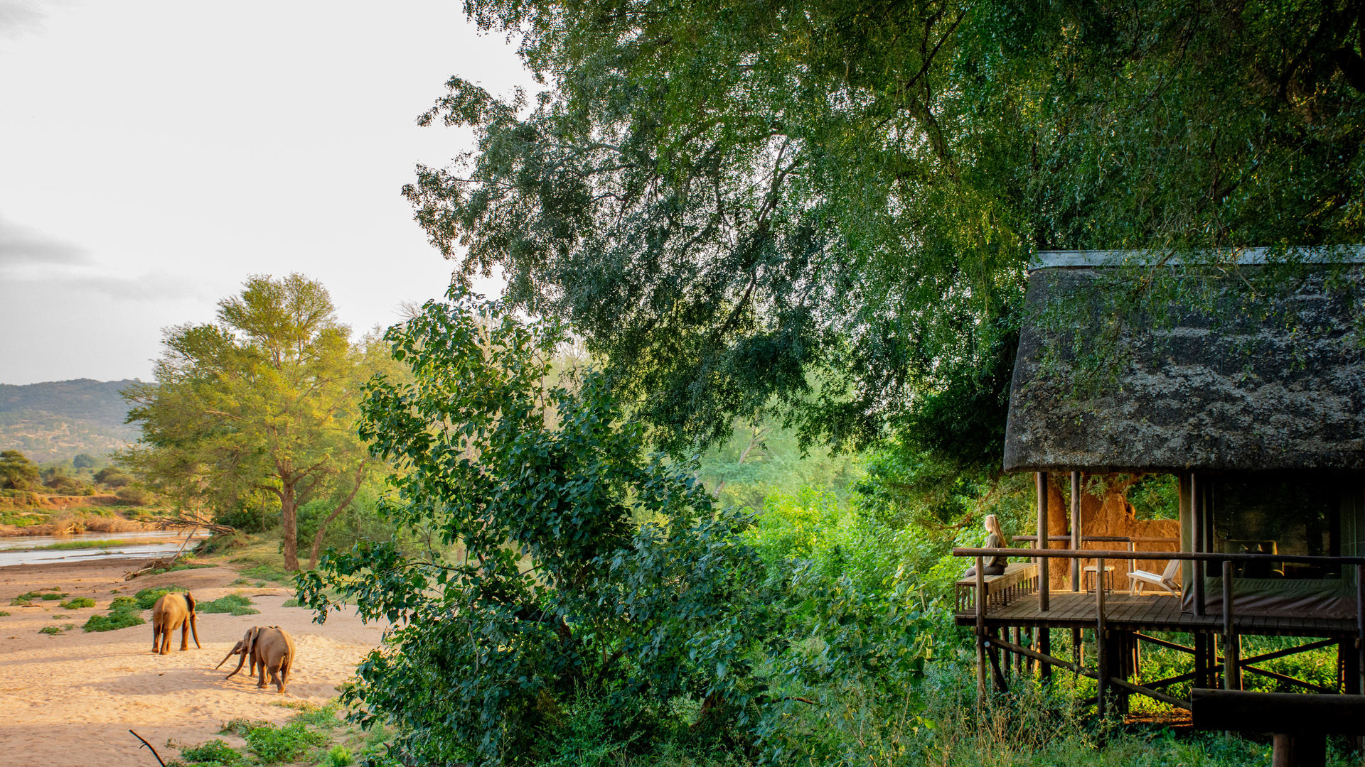 Pafuri Tented Camp » Matoke