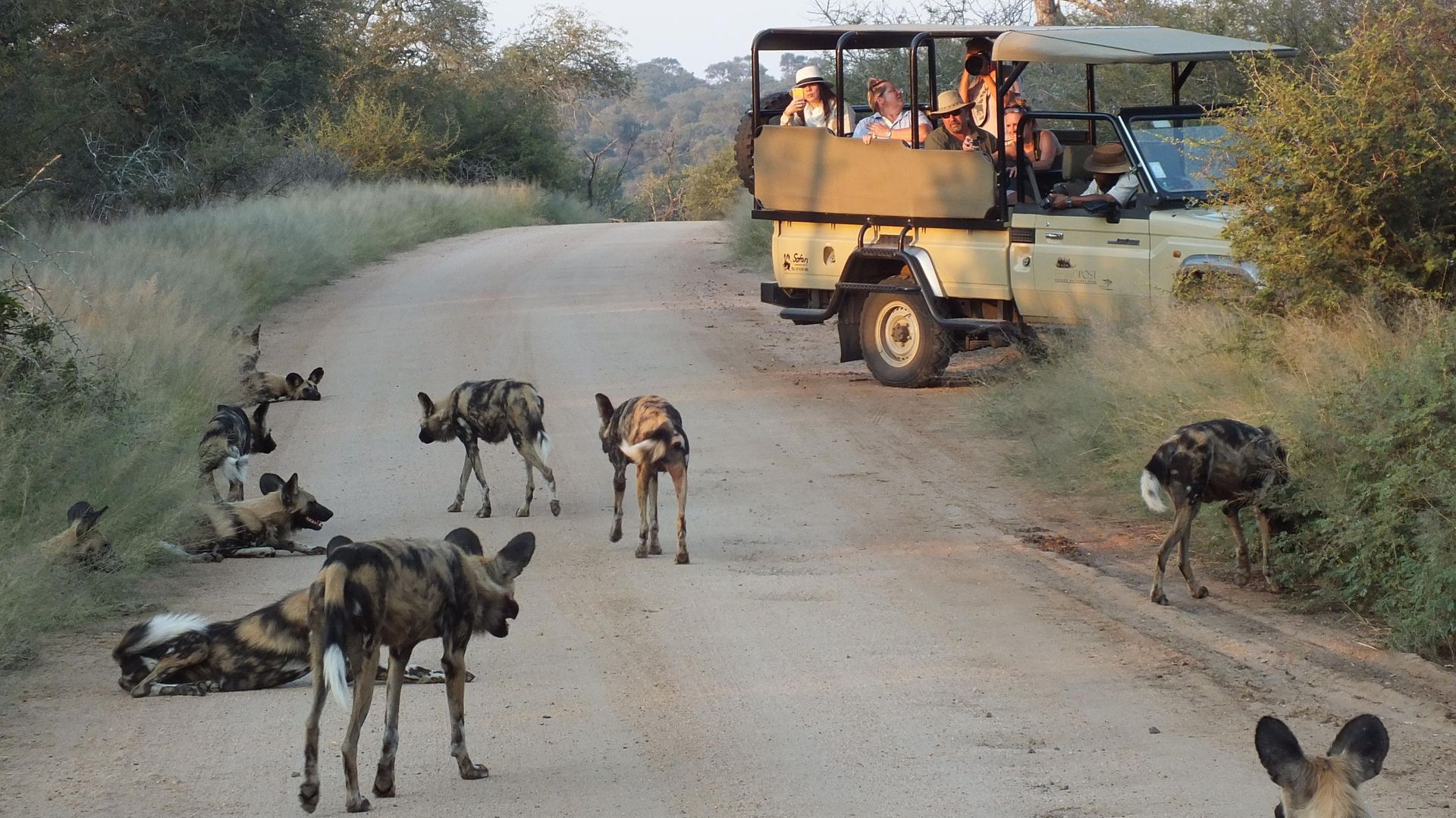 Rhino Post Safari Lodge » Matoke