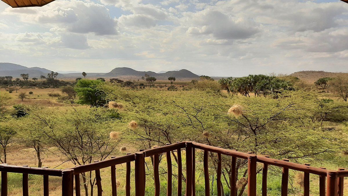 Samburu Simba Lodge » Matoke