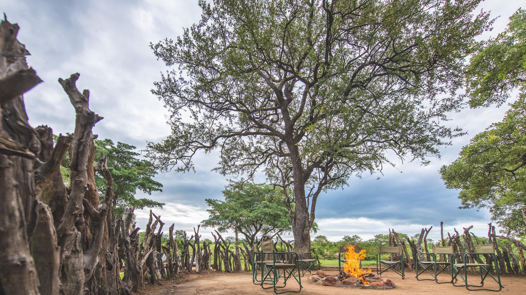 Shindzela Tented Safari Camp » Matoke