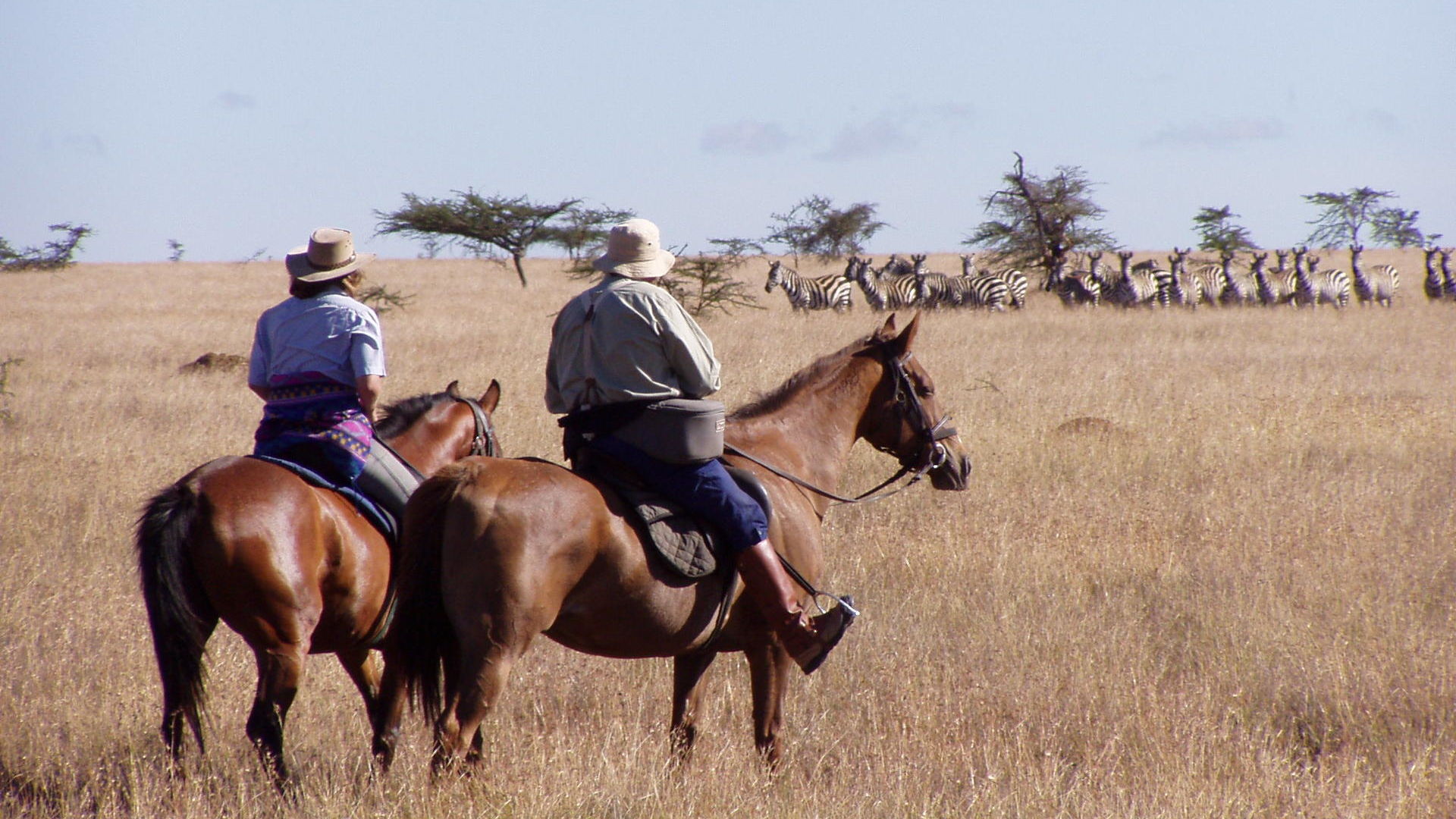 Sosian Lodge » Matoke