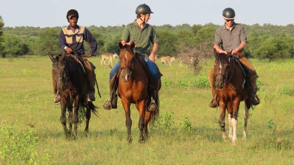 Africamps Waterberg » Zuid Afrika » Matoke Tours