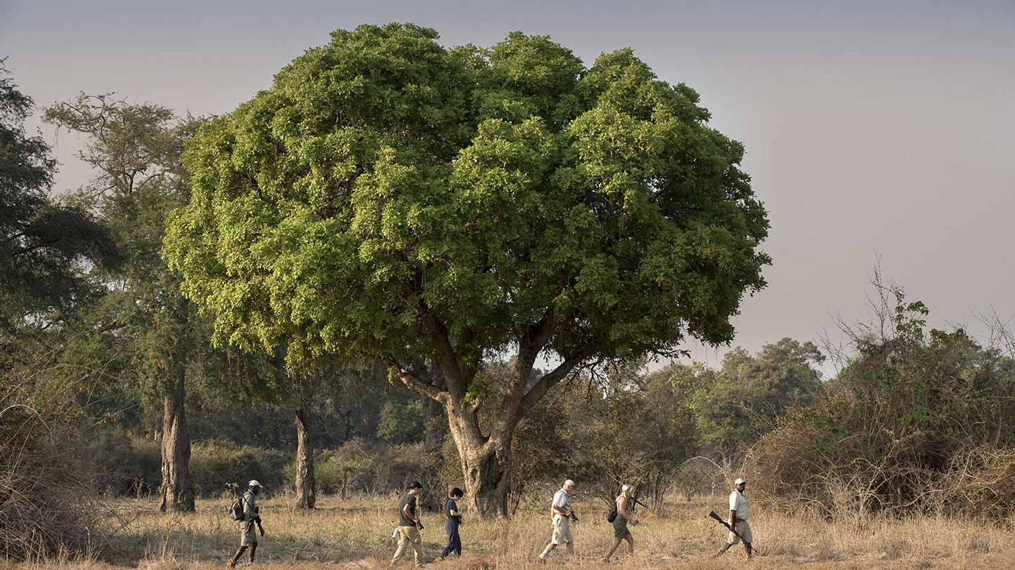 Zambezi Expeditions » Matoke