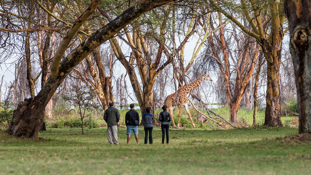 Naivasha Sopa Lodge » Matoke