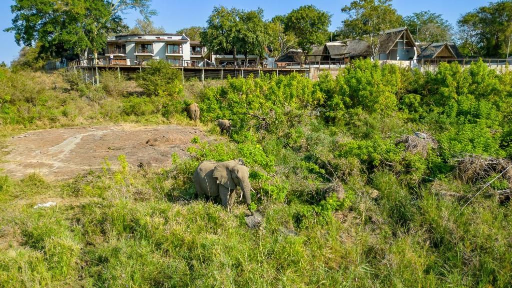 Buckler's Africa Lodge » Matoke