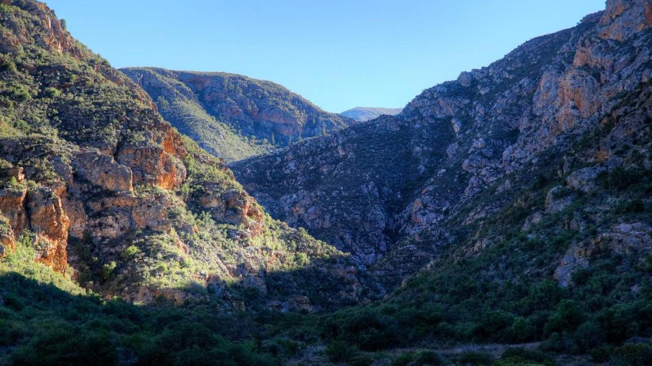 Duiwekloof Lodge » Zuid Afrika » Matoke Tours