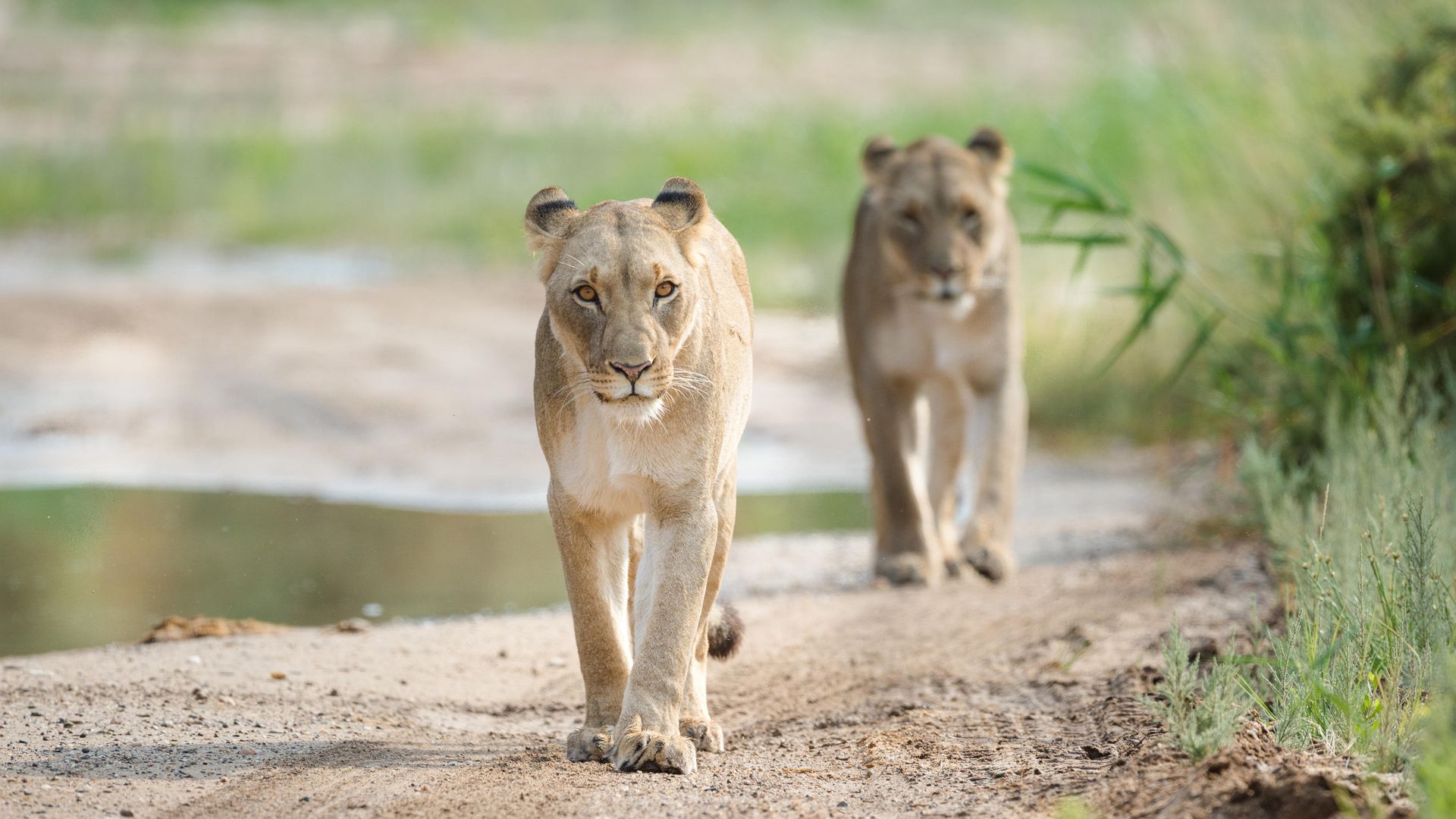 Hoanib Valley Camp » Namibië » Matoke Tours