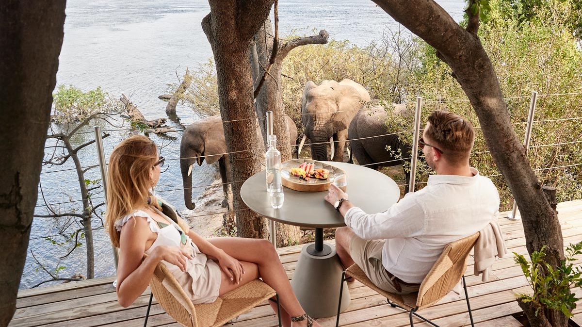 Island Treehouse Suites » Matoke