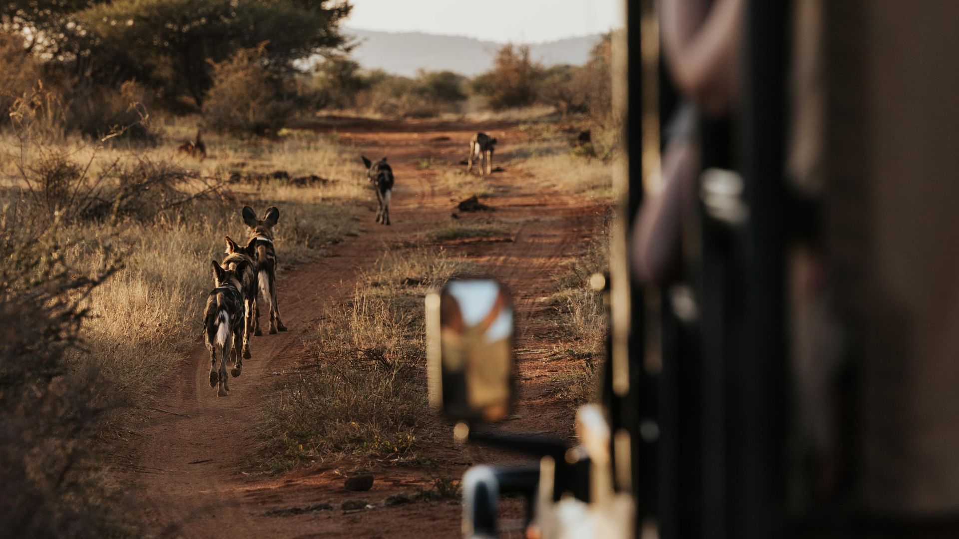 Rondreis twee weken Zuid Afrika en Seychellen | Malariavrij reizen