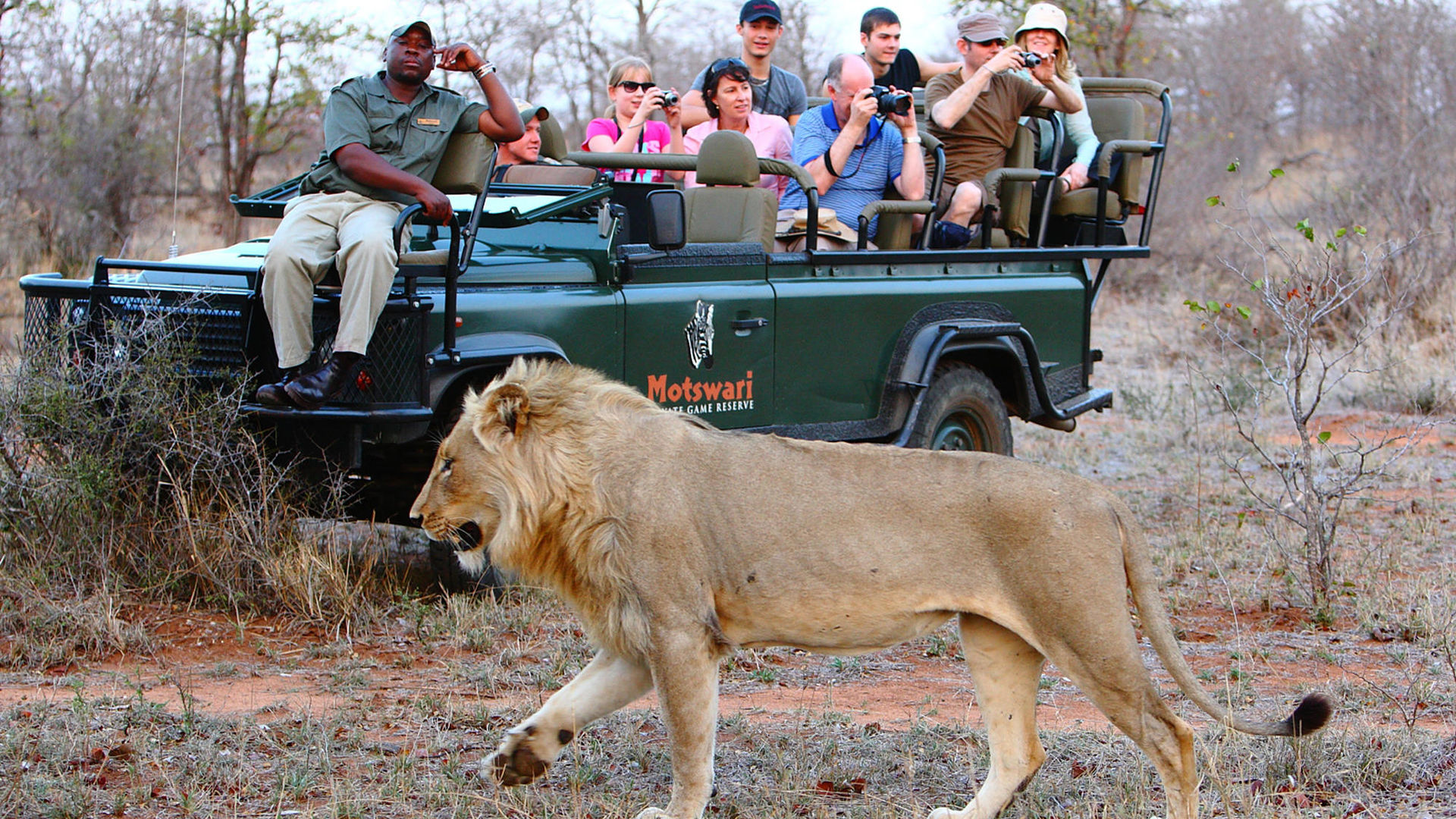 Motswari Safari Lodge » Matoke