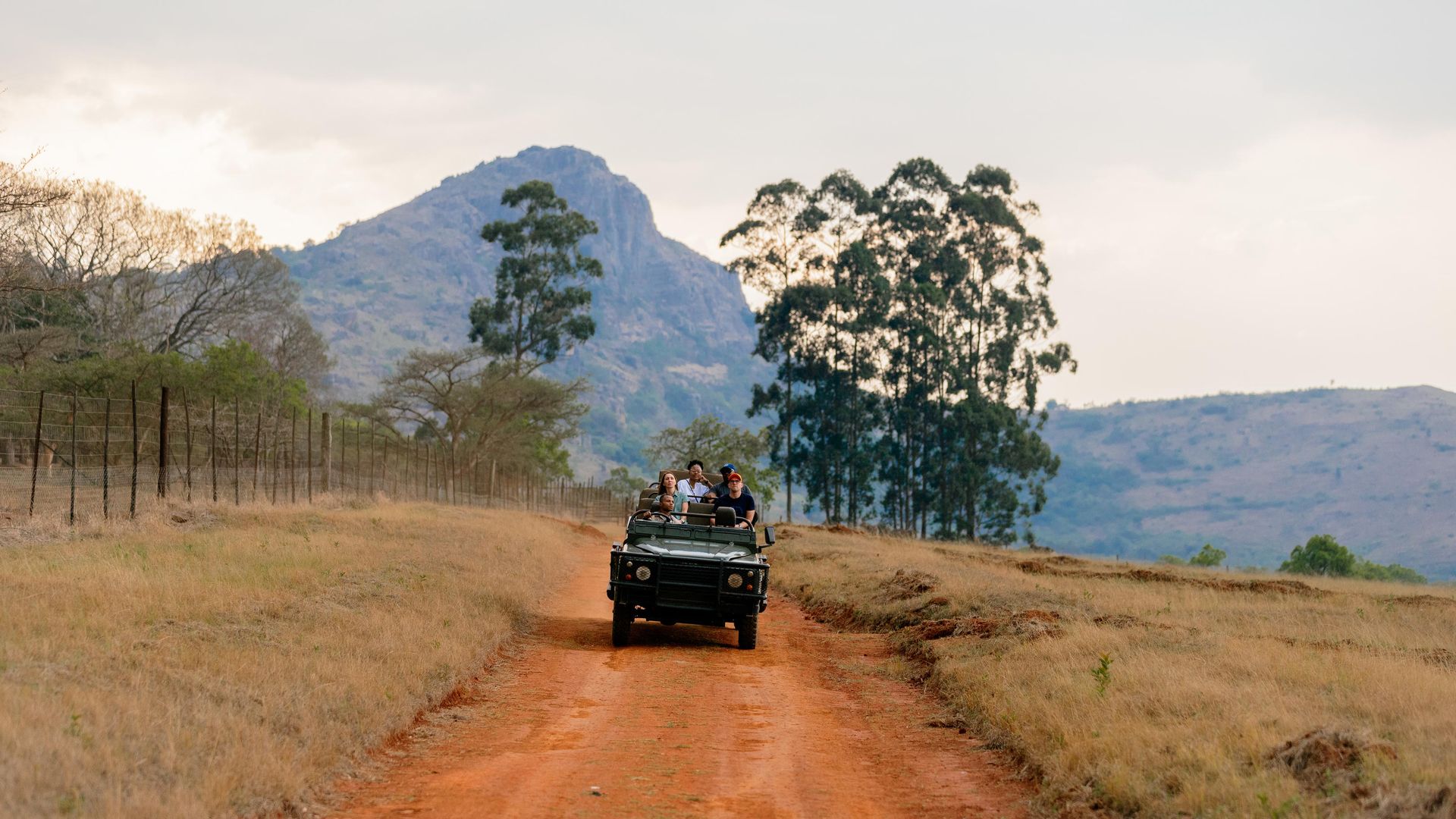 Reilly's Rock Hilltop Lodge » Matoke