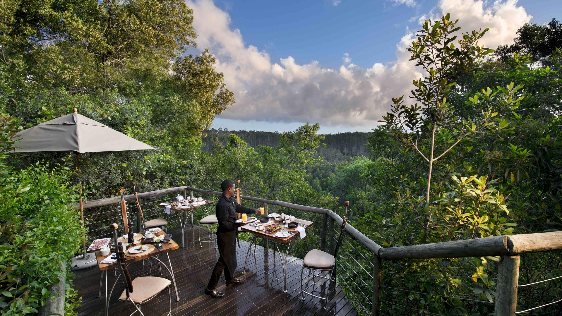 Tsala Treetop Lodge » Matoke
