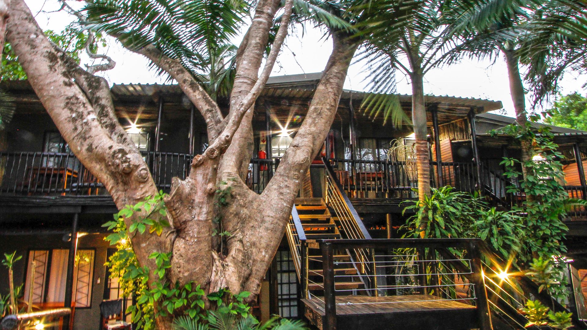 Umlilo Lodge » Matoke