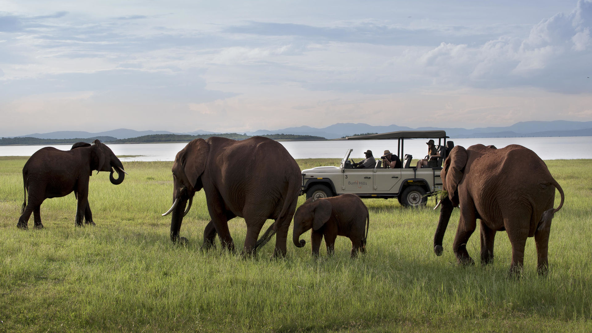 Bumi Hills Safari Lodge » Matoke