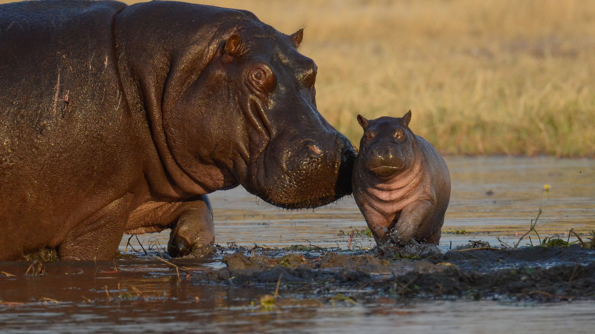 Self drive Zimbabwe - rij zelf door Zimbabwe met deze 4x4 autorondreis