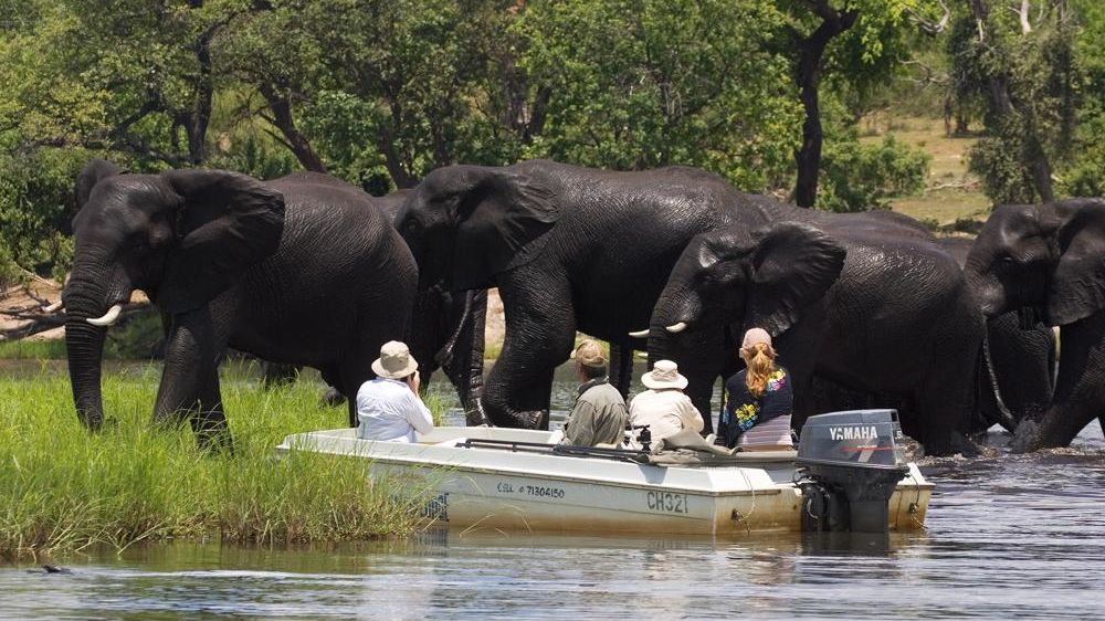 Chobe River Lodge » Matoke