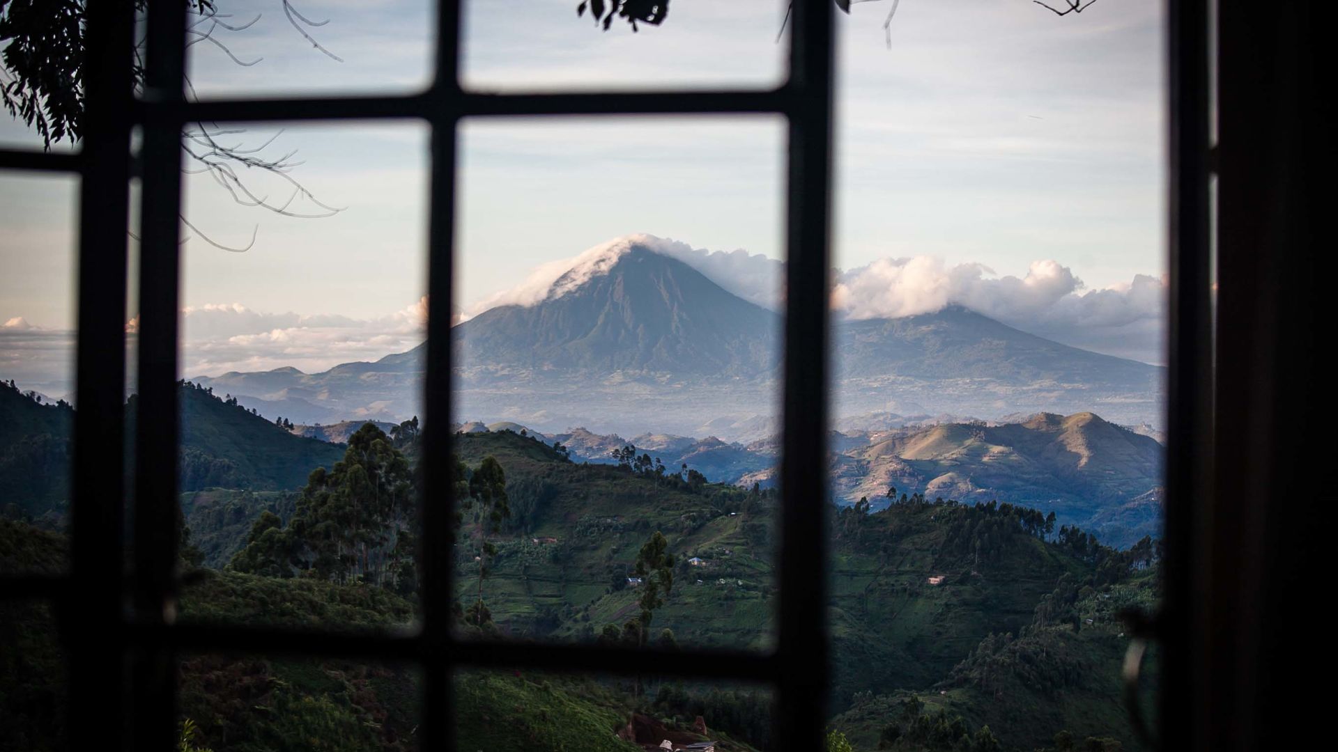 Clouds Mountain Gorilla Lodge » Matoke