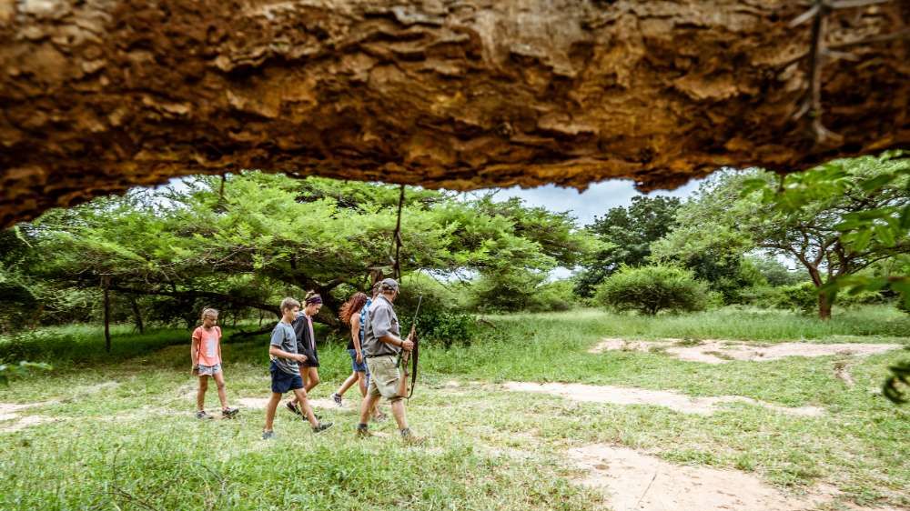Africamps Hoedspruit » Matoke