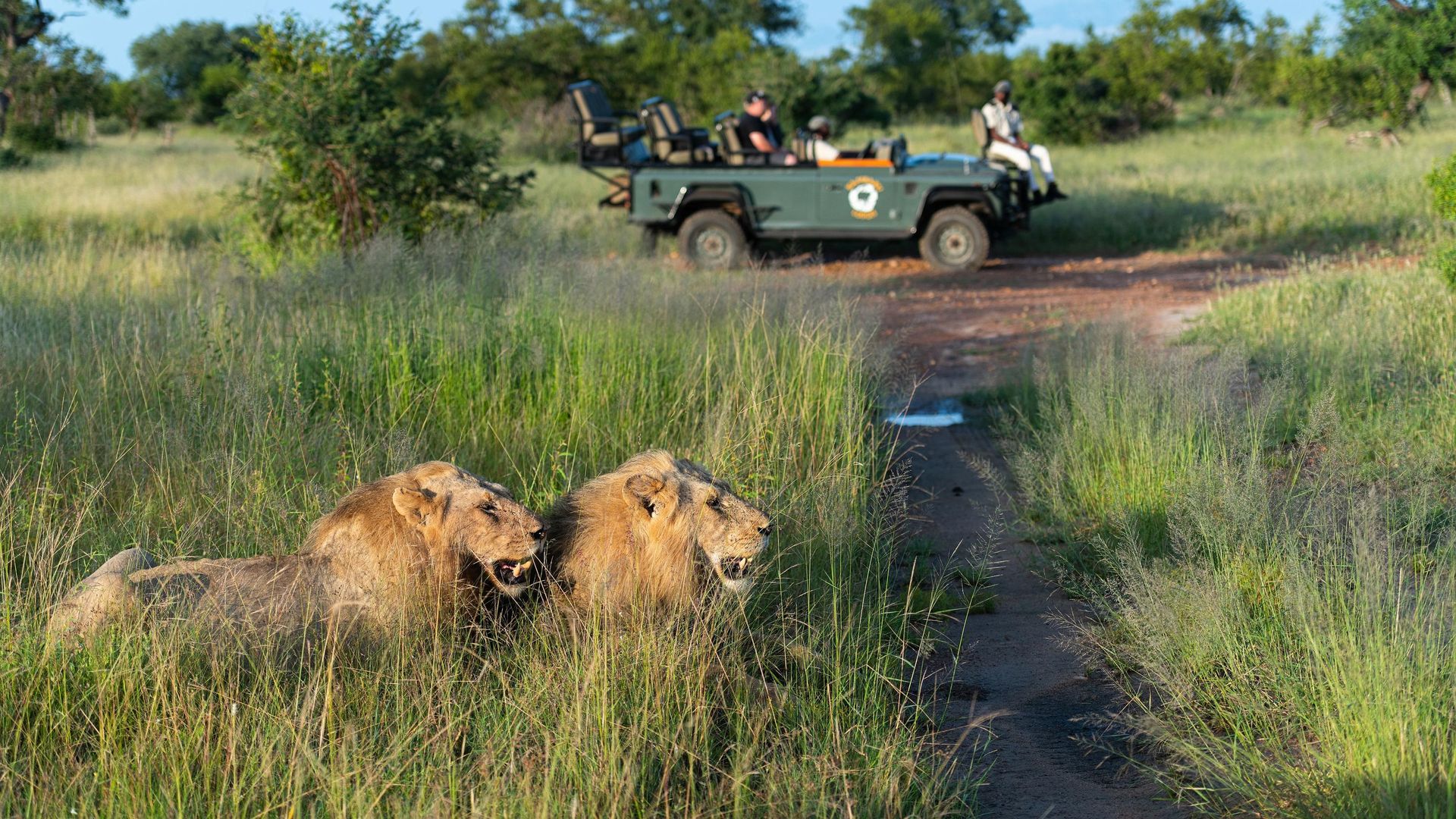 Kambaku Safari Lodge » Matoke