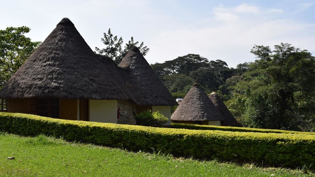 Kibale Guest Cottages » Matoke