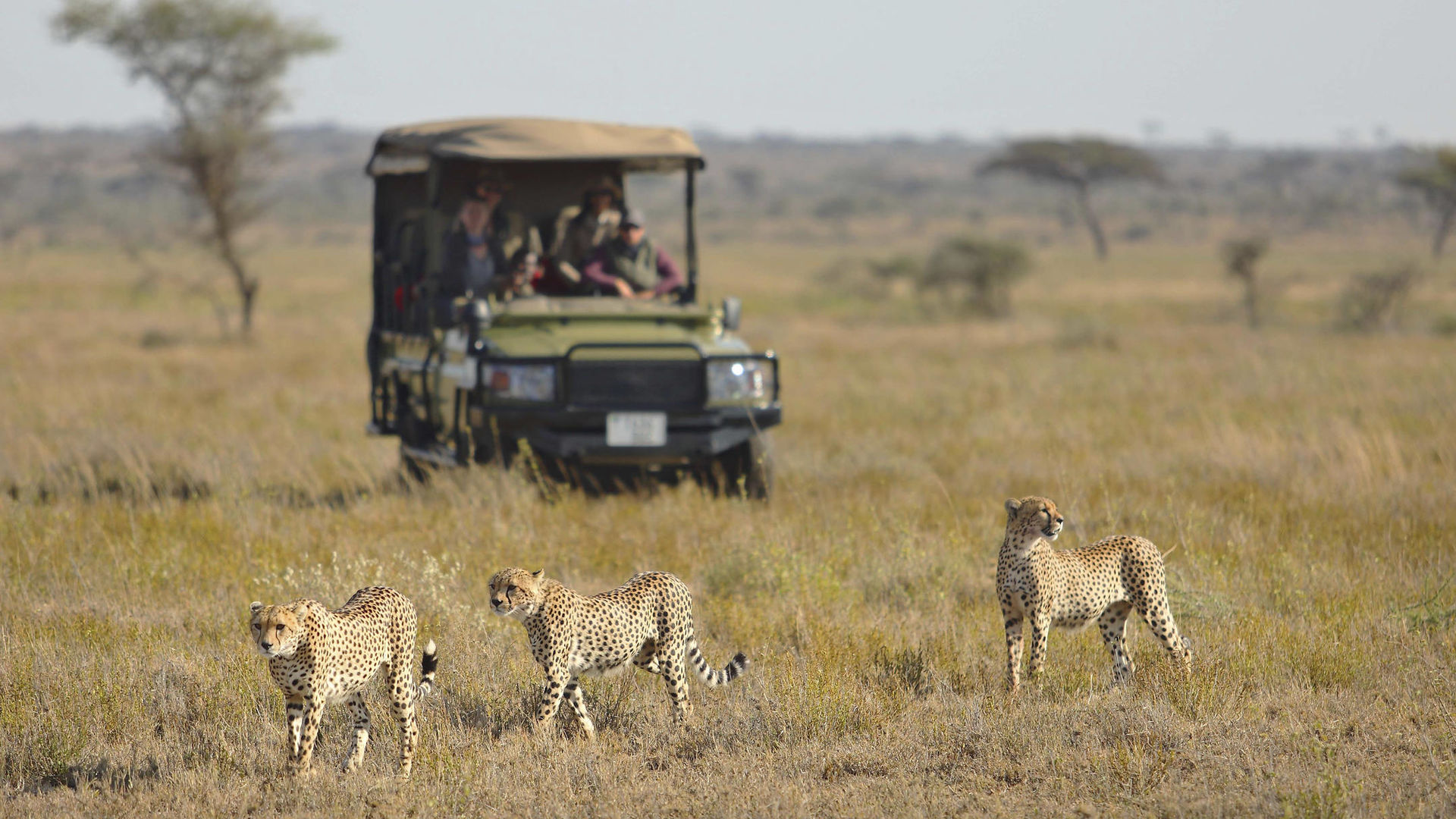 Namiri Plains Camp » Matoke