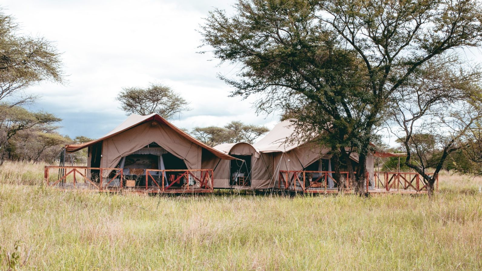 Pamoja Serengeti Luxury Camp » Matoke