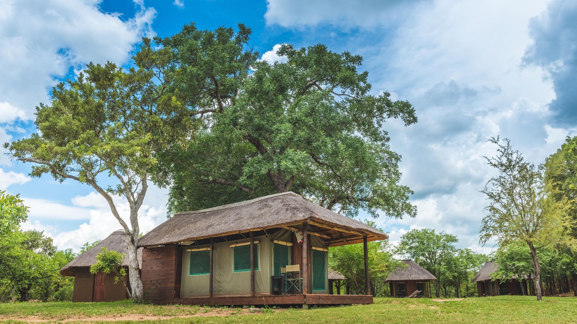 Shindzela Tented Safari Camp » Matoke