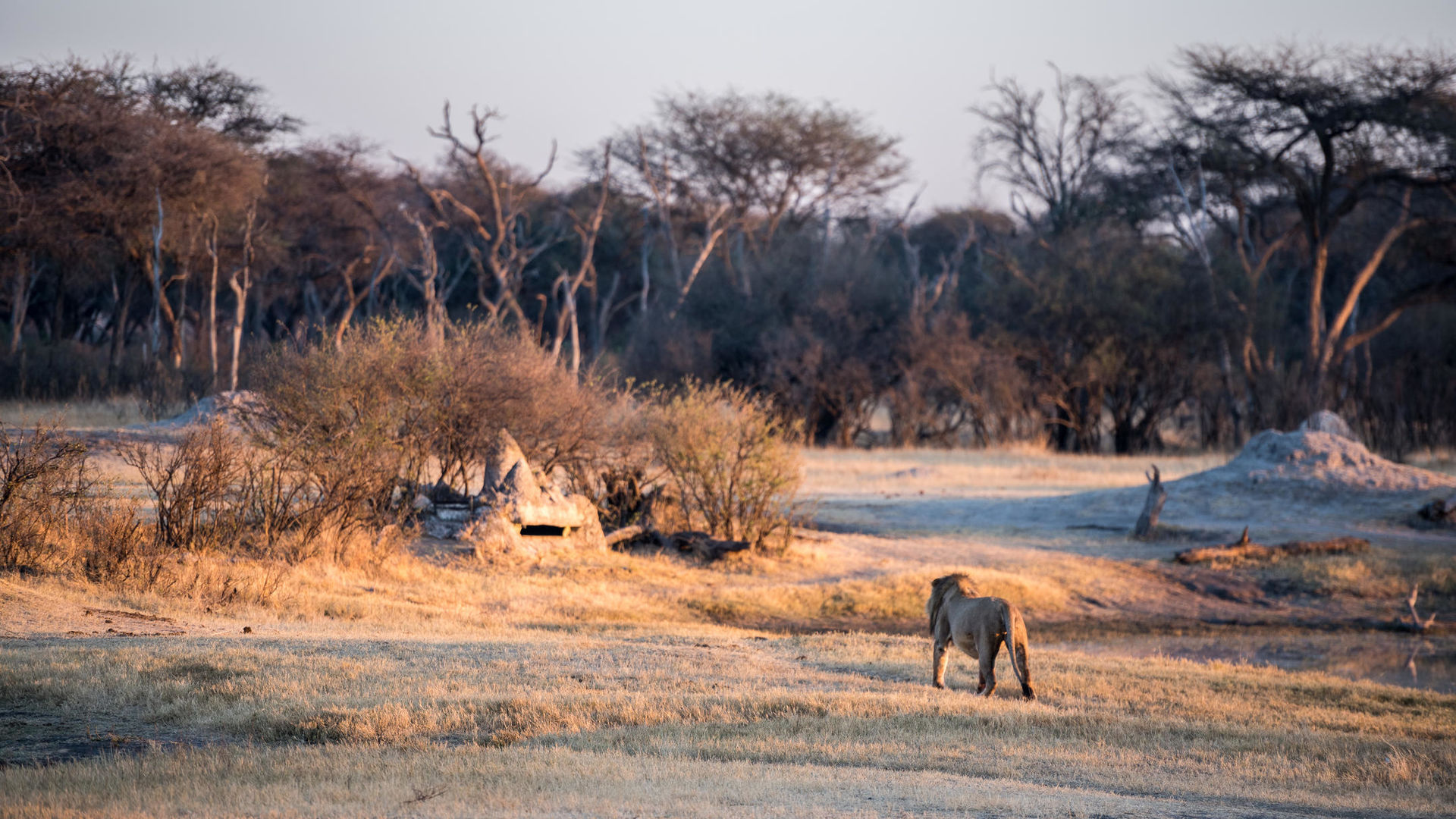 The Hide Safari Camp » Matoke