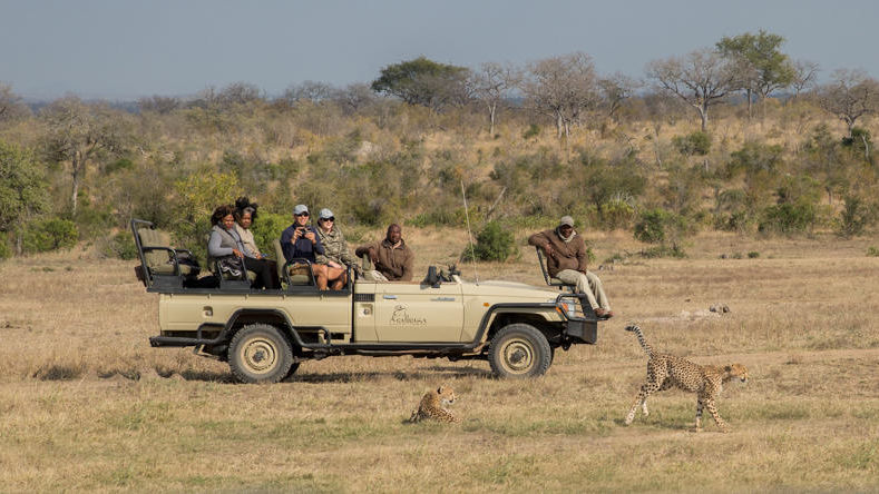 Arathusa Safari Lodge » Matoke