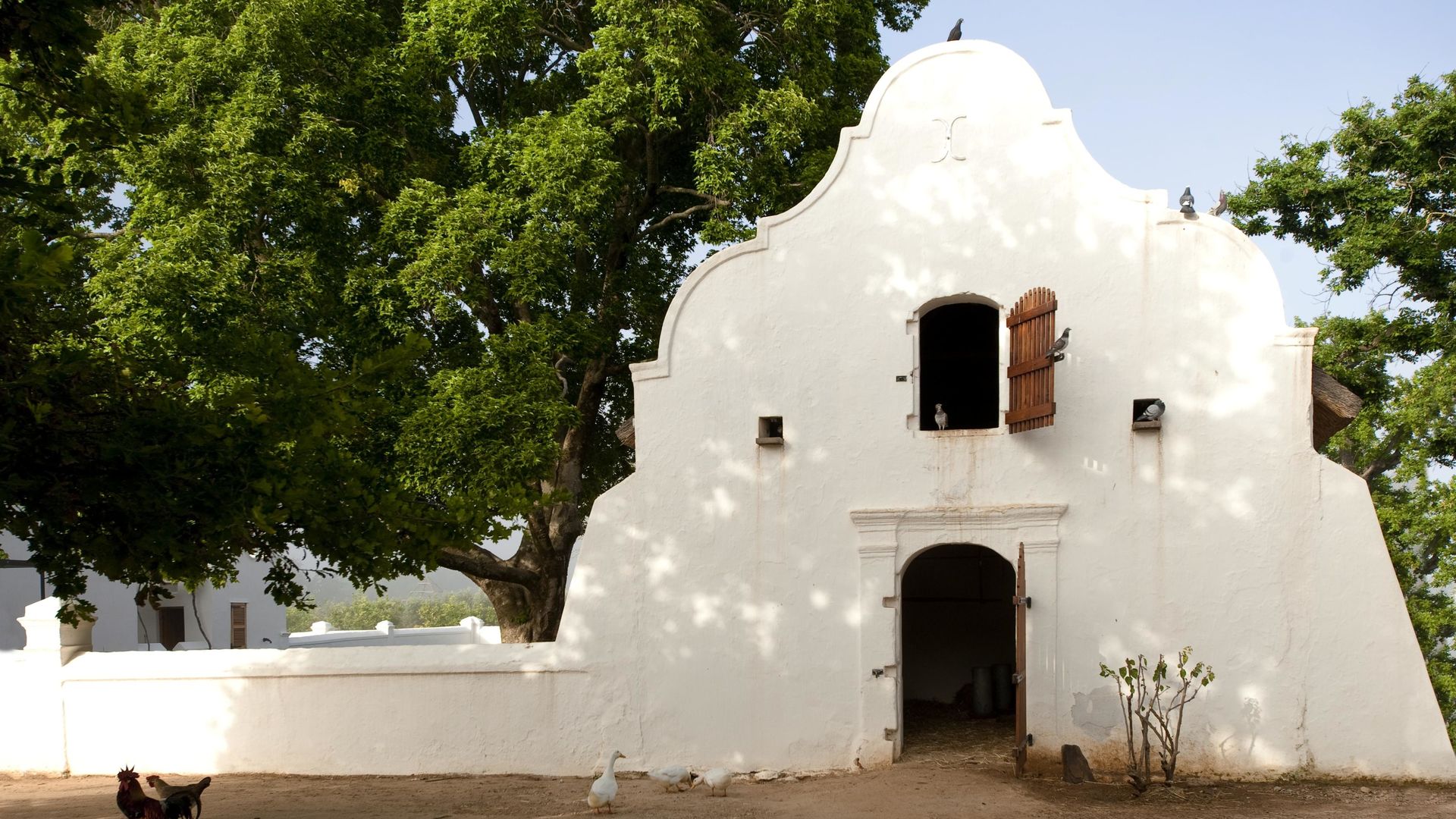 Babylonstoren » Matoke