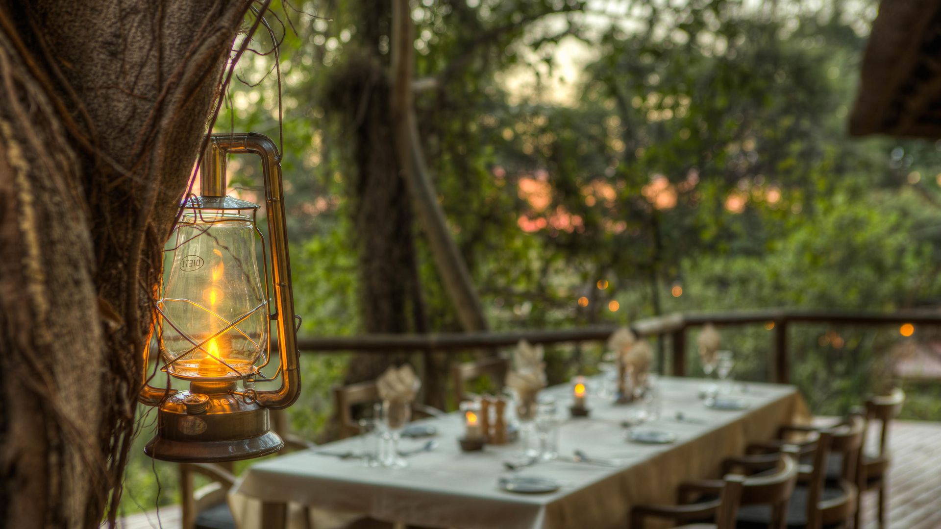 Camp Moremi » Botswana » Matoke Tours