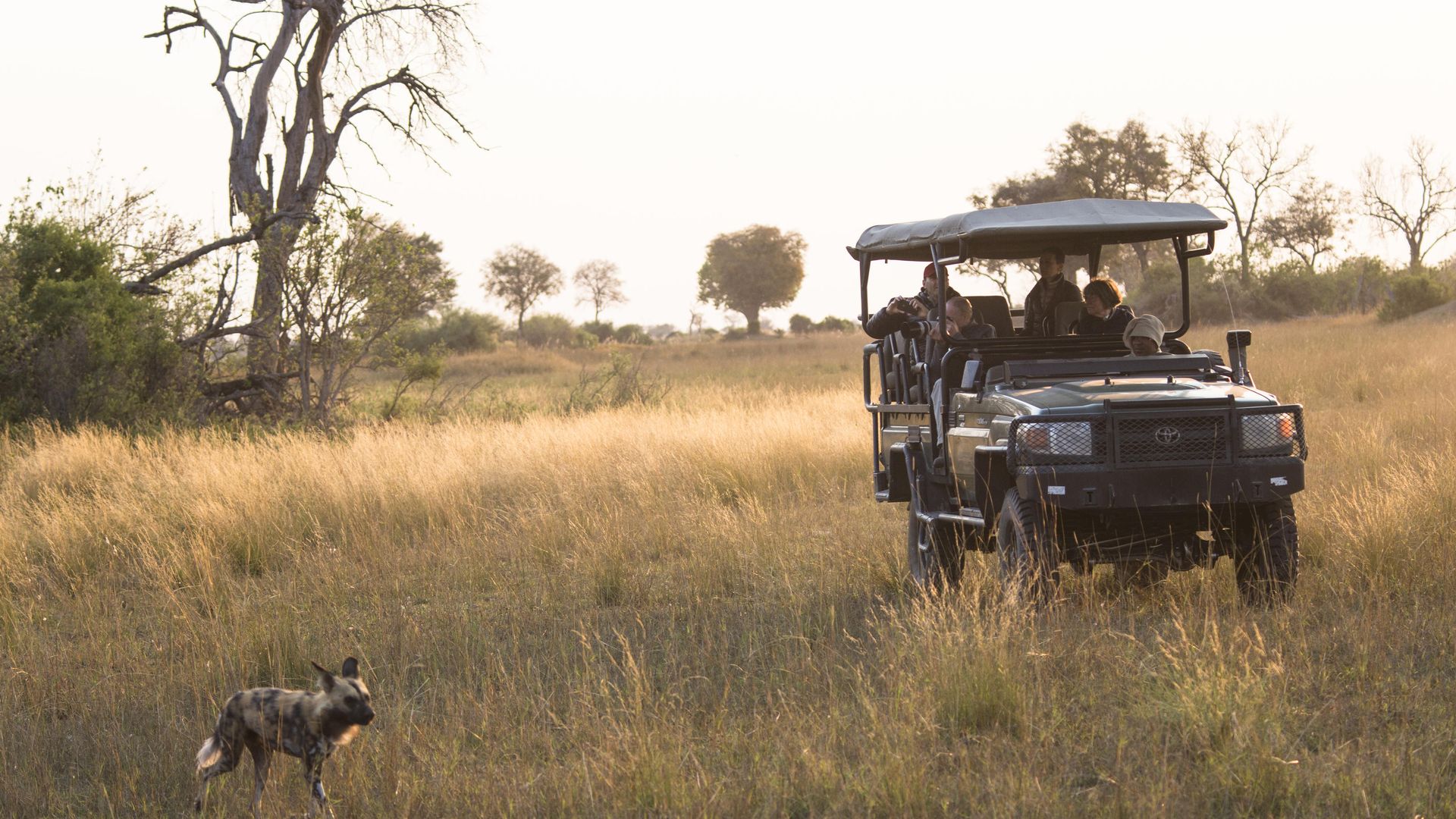 Duba Explorers Camp » Matoke