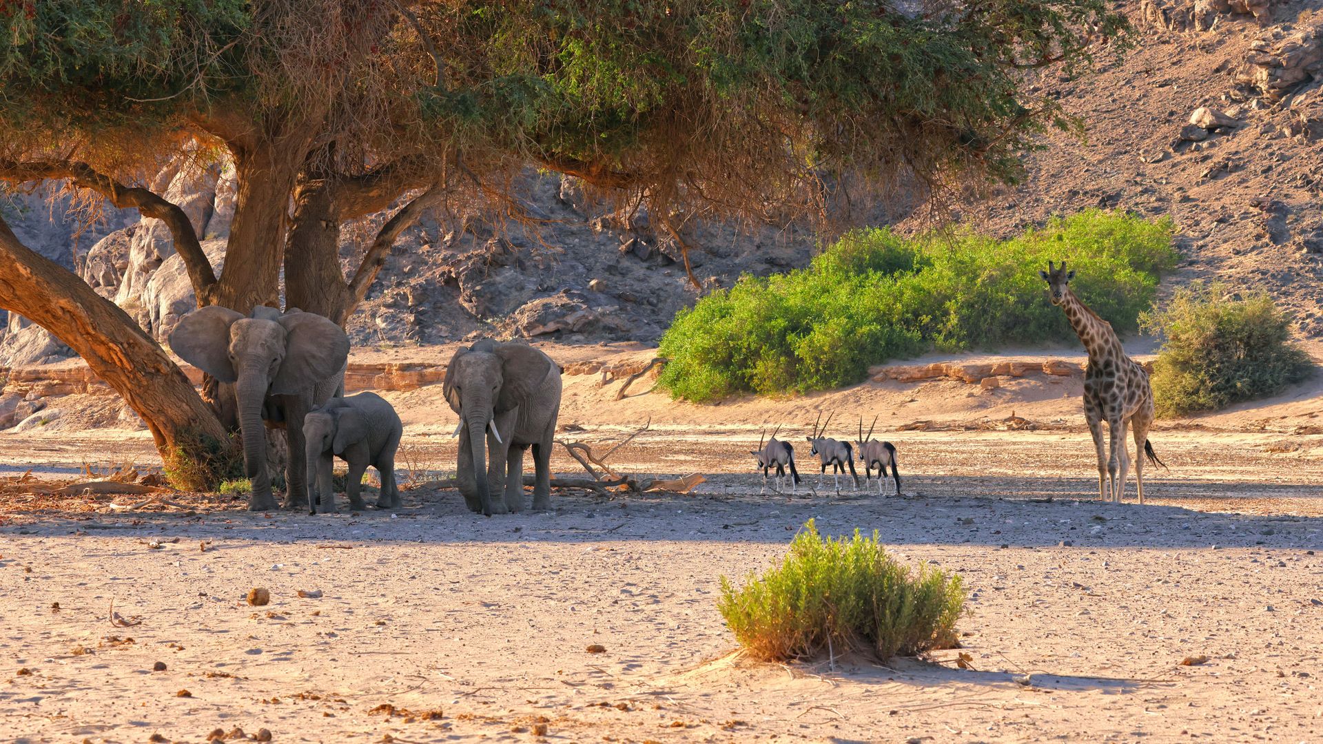 Hoanib Valley Camp » Namibië » Matoke Tours