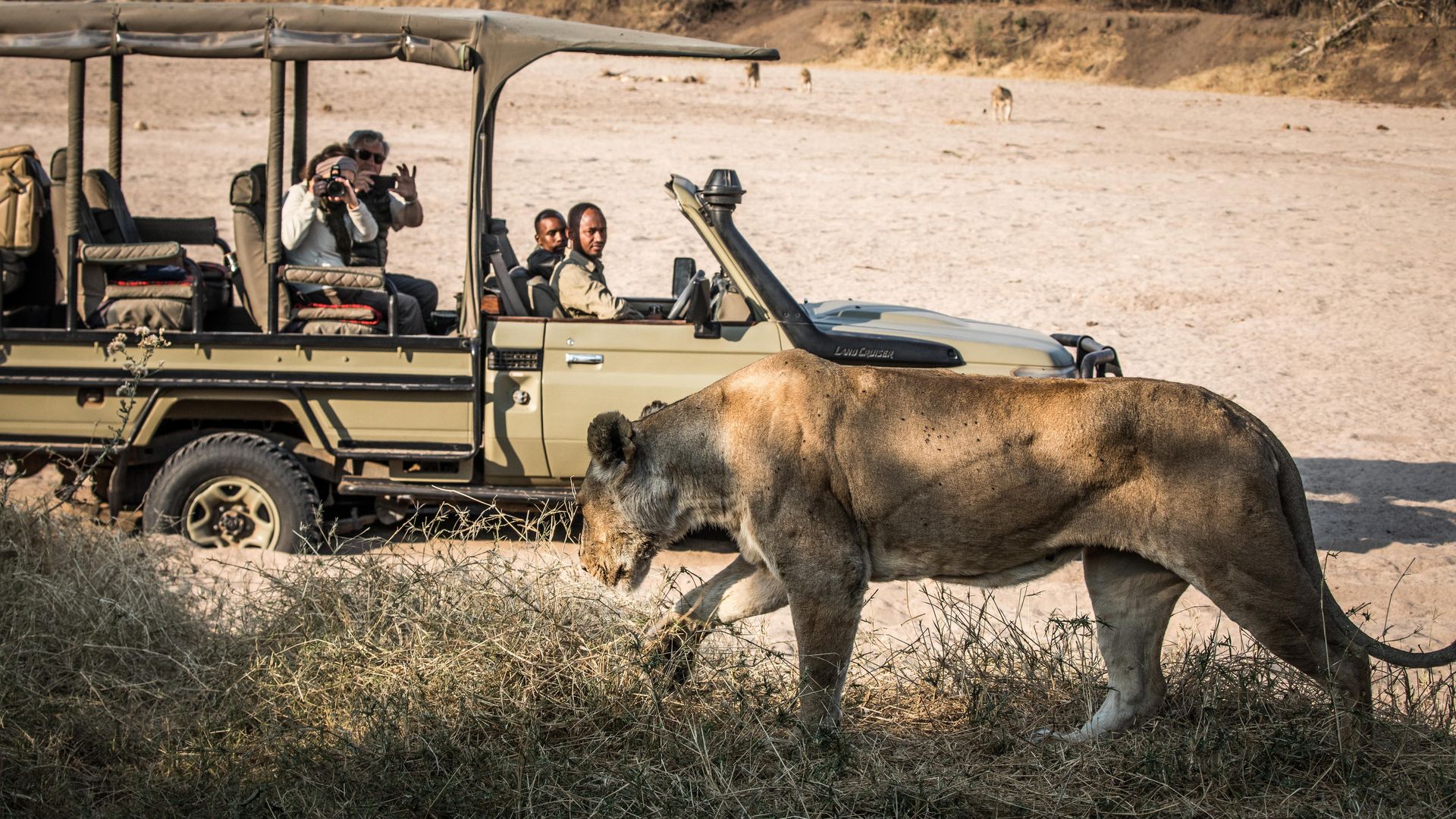 Nomad Kigelia Ruaha » Matoke