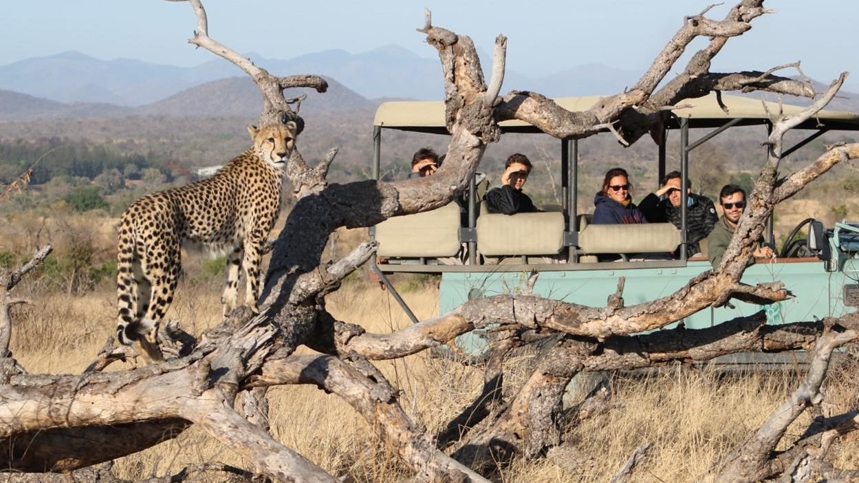 Lukimbi Safari Lodge » Matoke