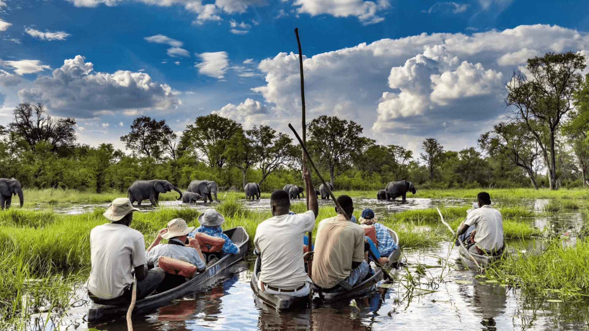MmaTsebe Camp » Botswana » Matoke Tours