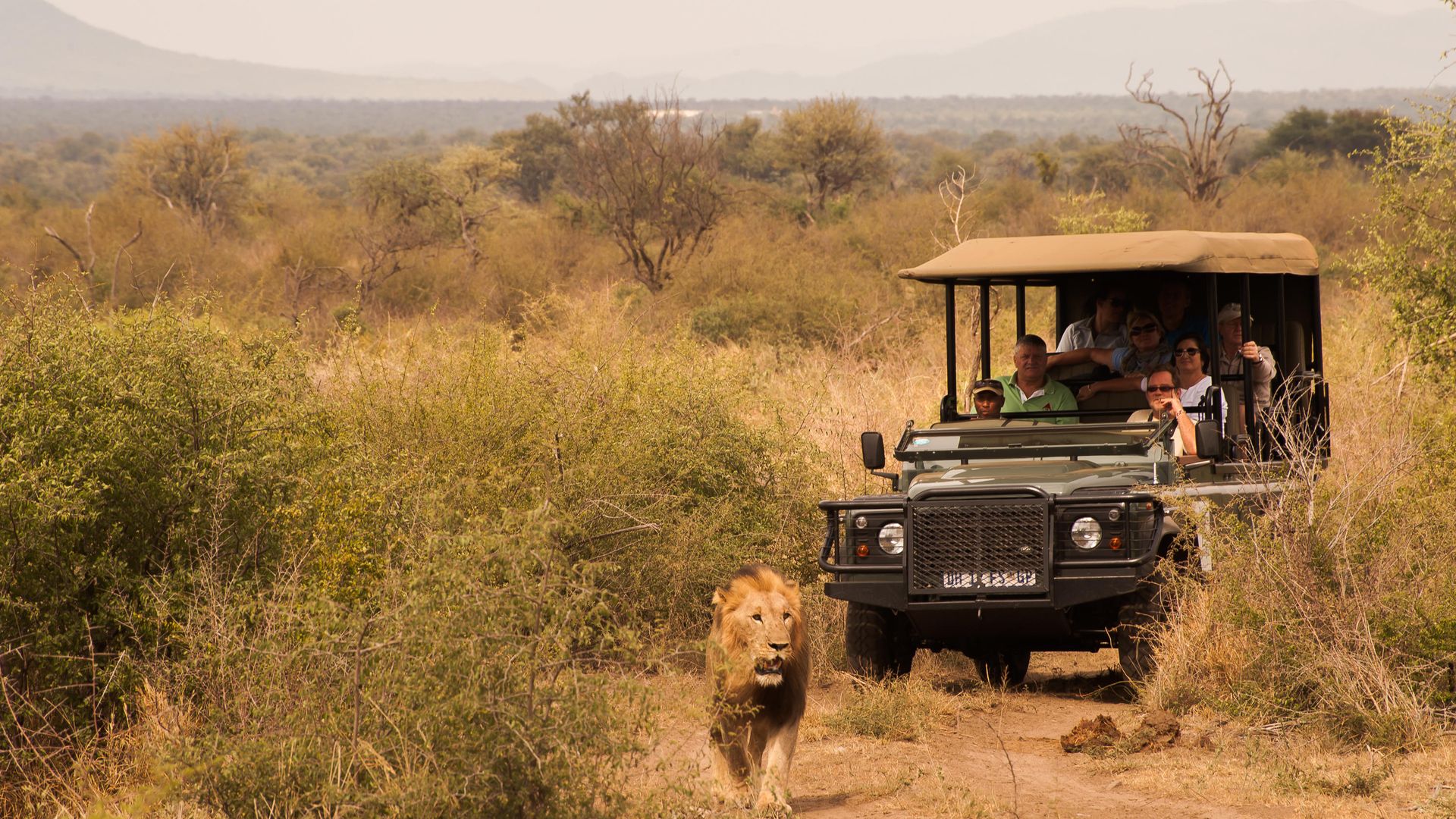 Mosetlha Bush Camp & Eco Lodge » Matoke