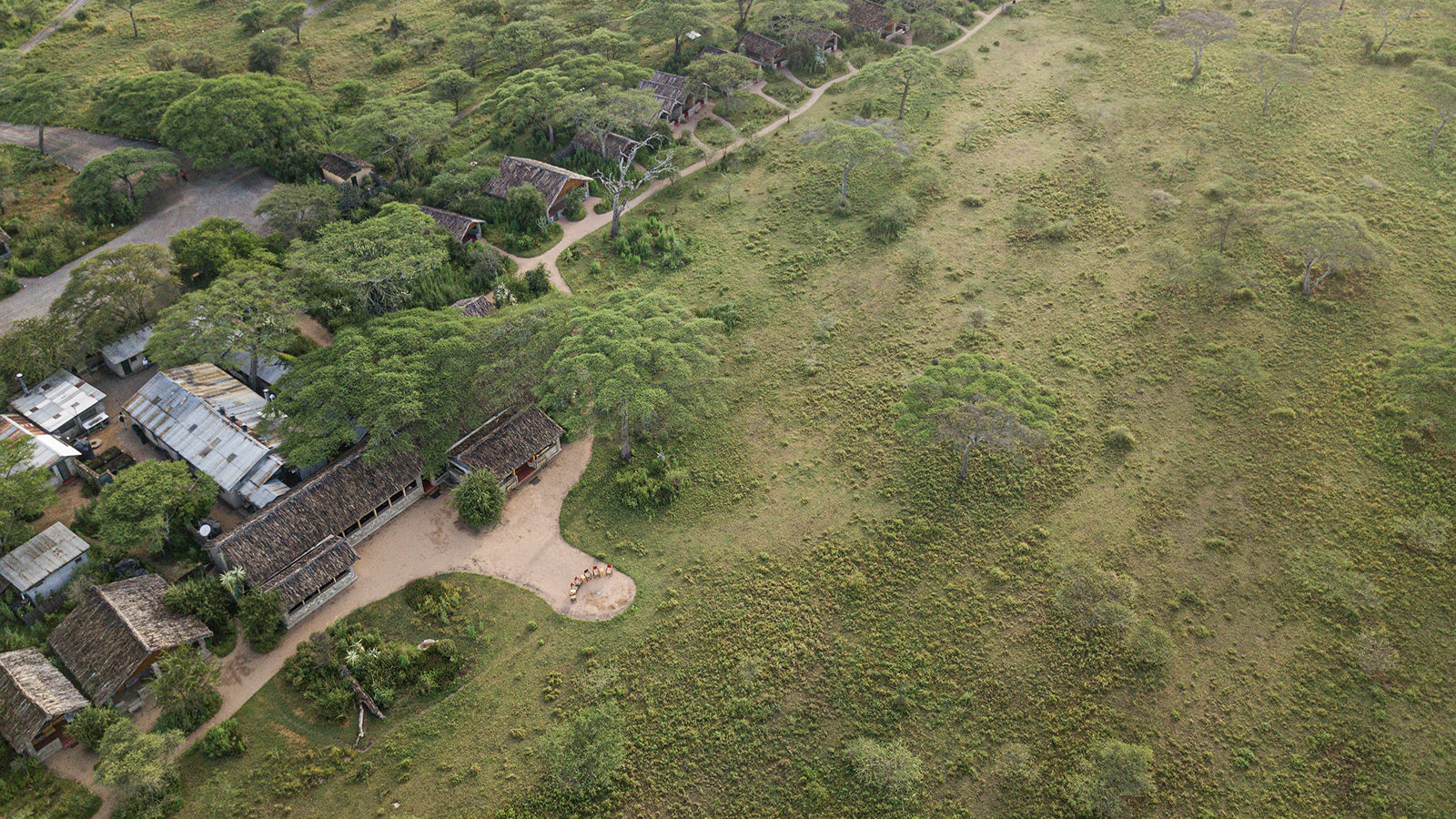 Ndutu Safari Lodge » Matoke