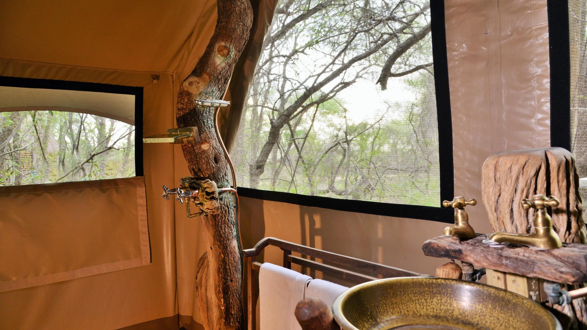 Rhino Walking Safari Plains Camp » Matoke