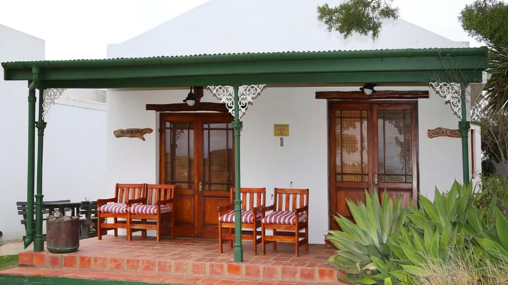 Skeiding Guest Farm » Matoke