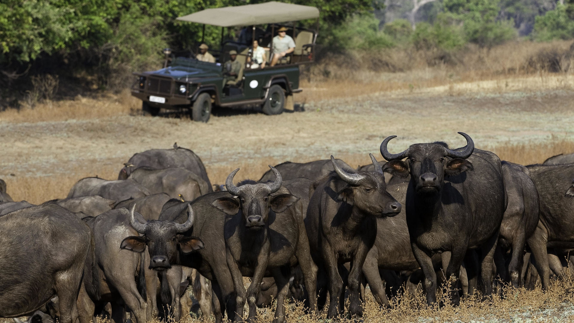 Zungulila Bushcamp » Matoke