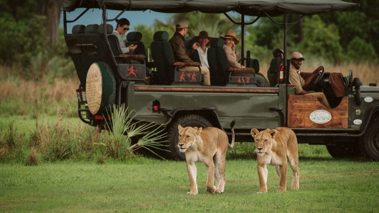 Katavi Wildlife Camp » Matoke