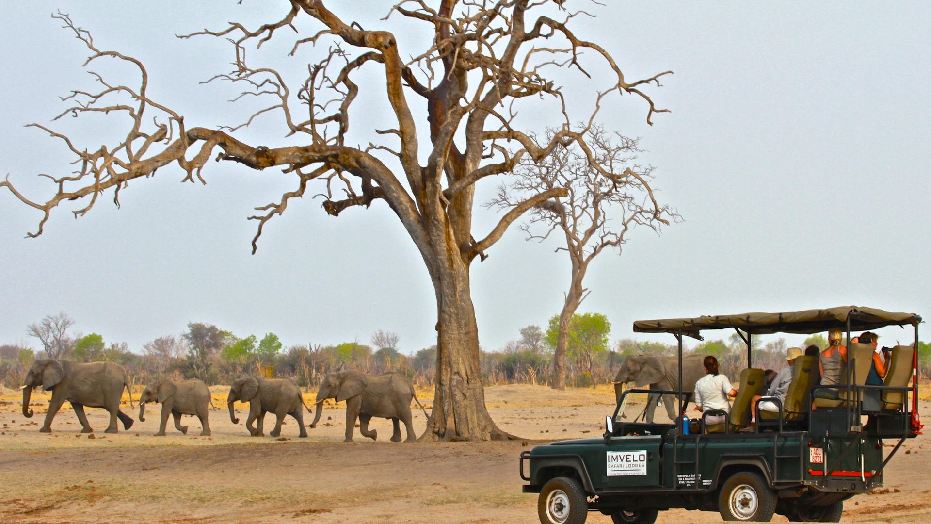 Bomani Tented Lodge » Matoke