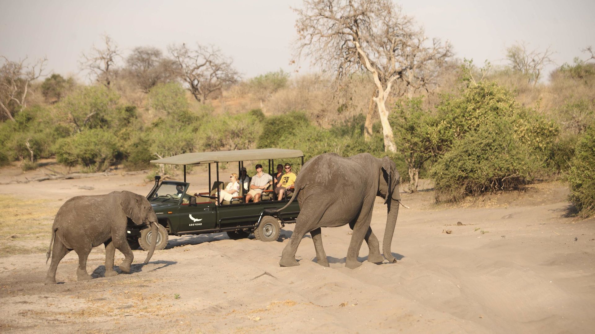 Chobe Under Canvas » Matoke