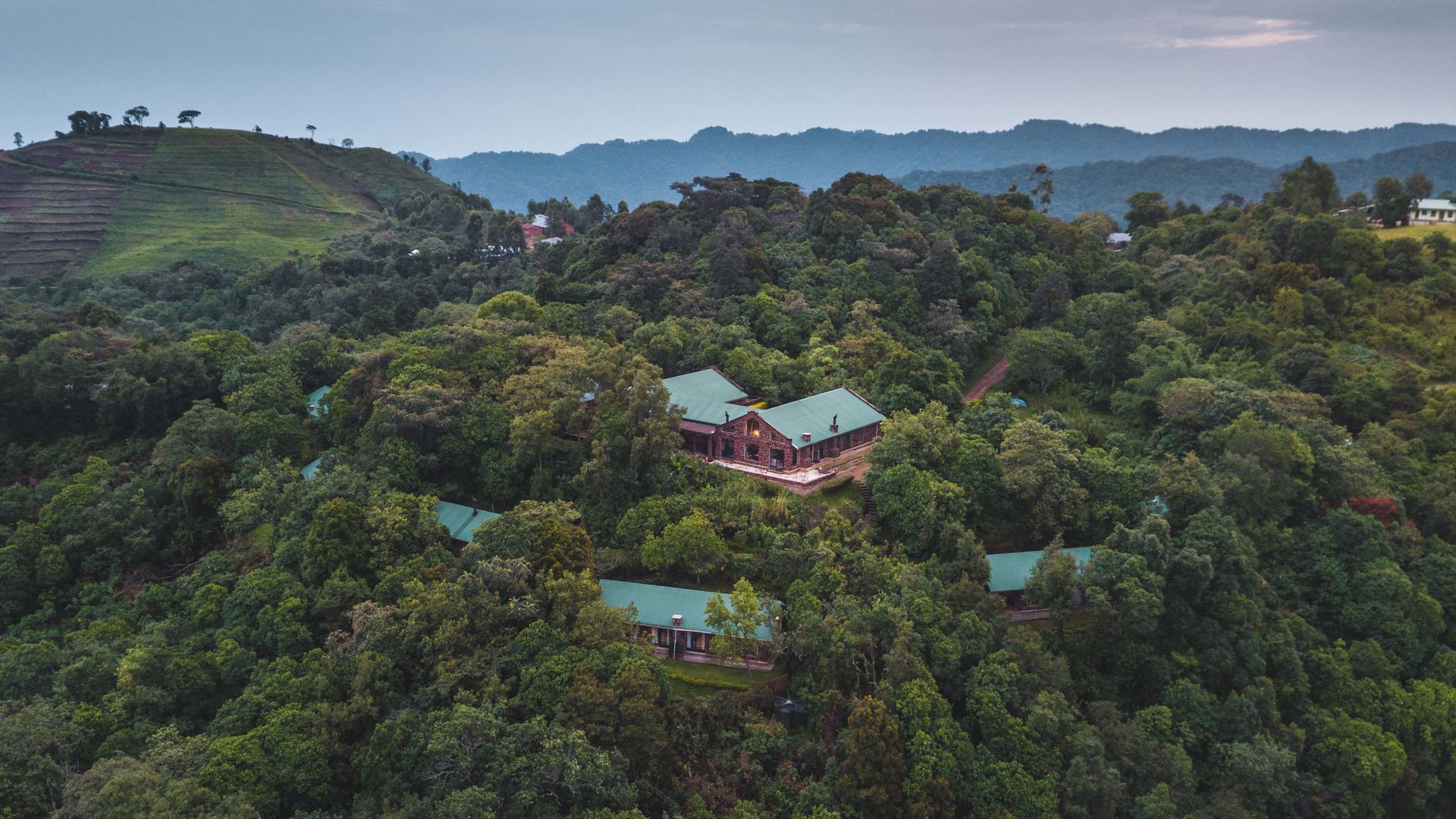 Clouds Mountain Gorilla Lodge » Matoke