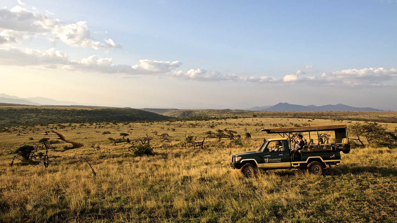 Lewa Safari Camp » Matoke