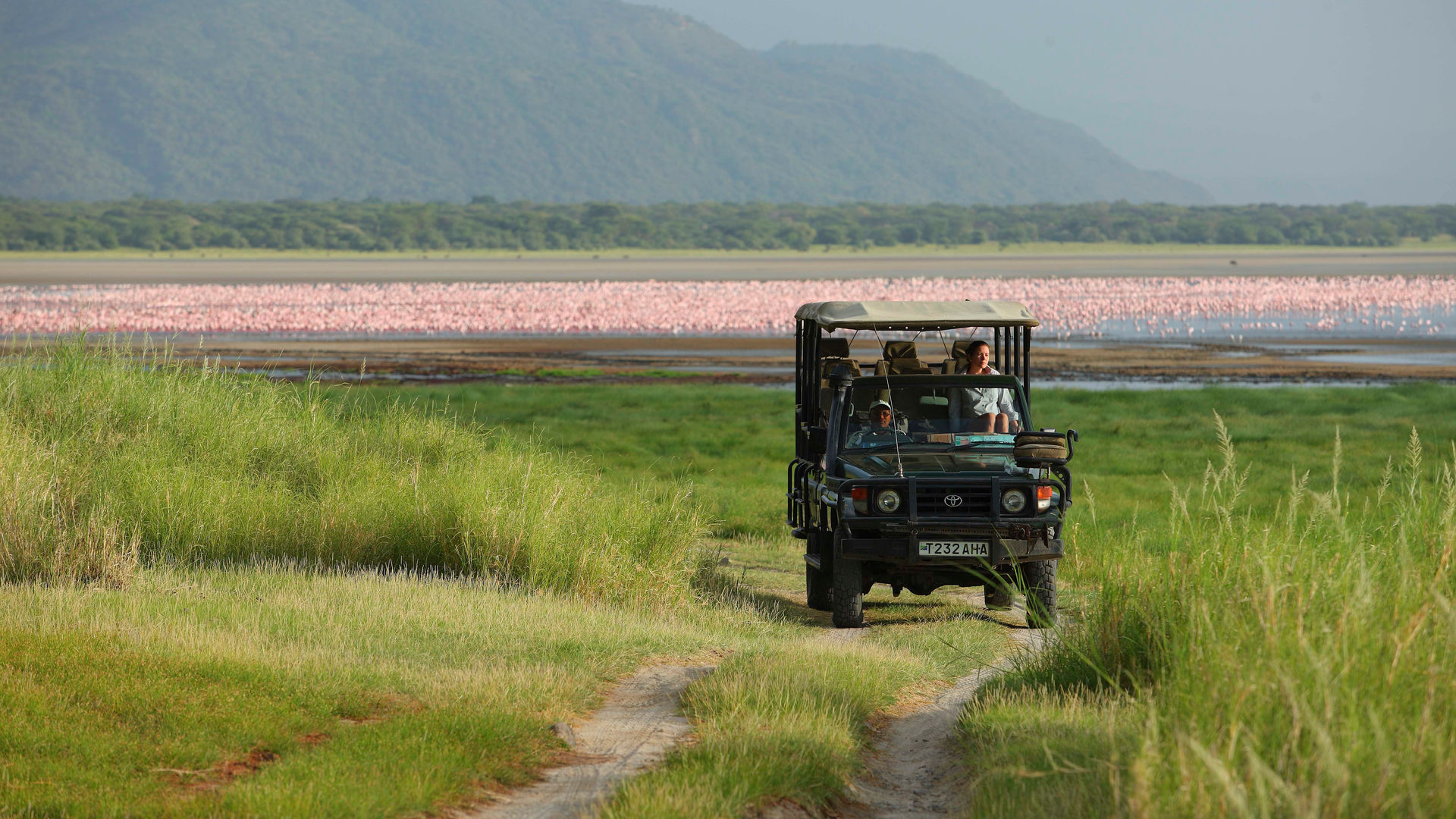 Lake Manyara Tree Lodge » Matoke